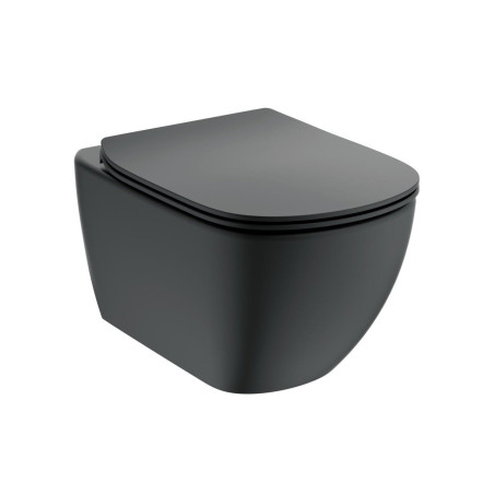 Potinkinis WC komplektid IDEAL STANDARD (6 in 1), must nupp