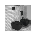 Potinkinis WC komplektid IDEAL STANDARD (6 in 1), must nupp