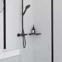 Nurgariiul HANSGROHE AddStoris, must-matt, 41741670