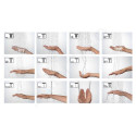 Dušipea HANSGROHE Rainmaker Select 3 pihusti, 24006600