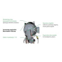 Gaasikondensatsioonikatel ITALTHERM Time Max 35 koos integreeritud 60 l katlaga