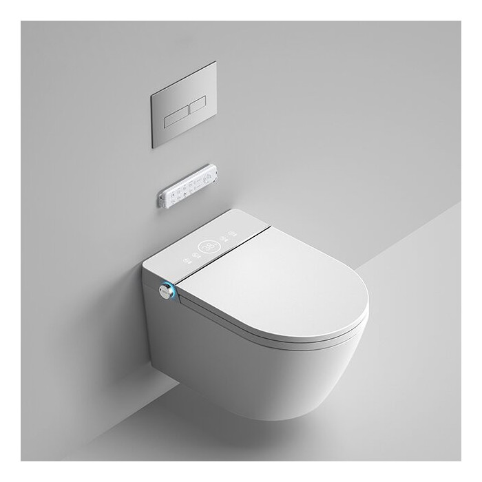 Hanging toilet with bidet function Rimless with seat and lid