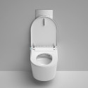 Hanging toilet with bidet function Rimless with seat and lid