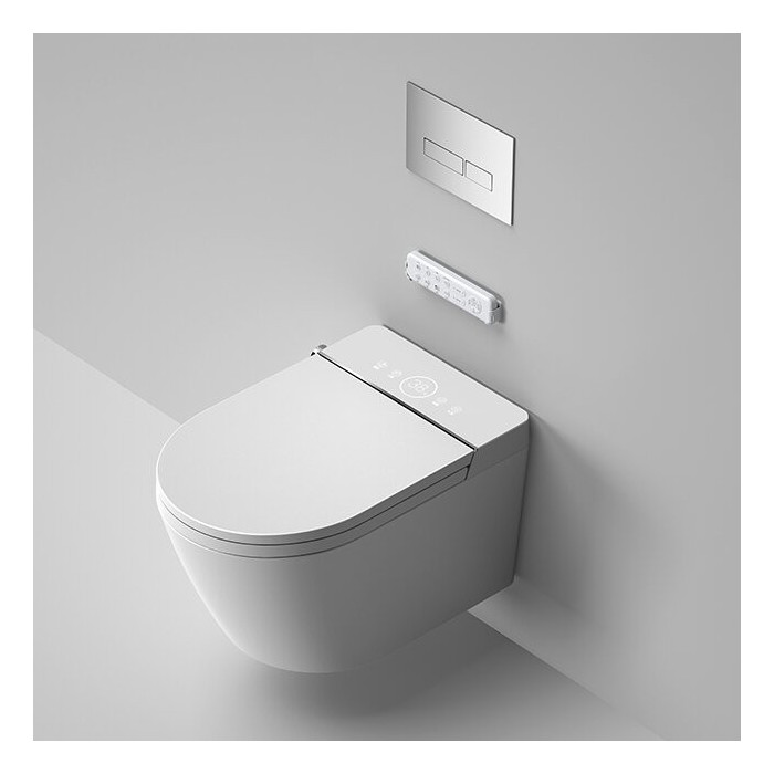 Hanging toilet with bidet function Rimless with seat and lid