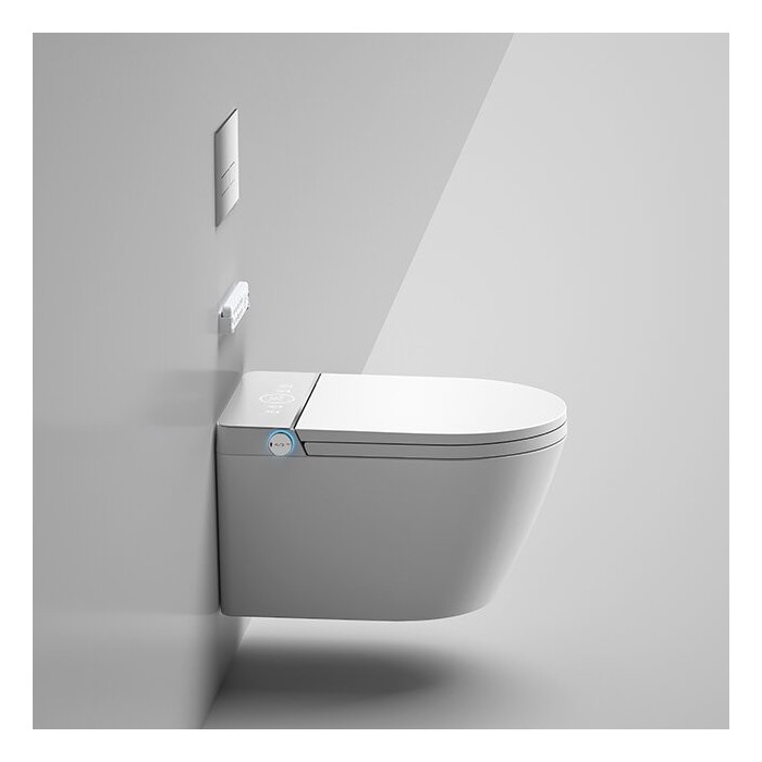 Hanging toilet with bidet function Rimless with seat and lid