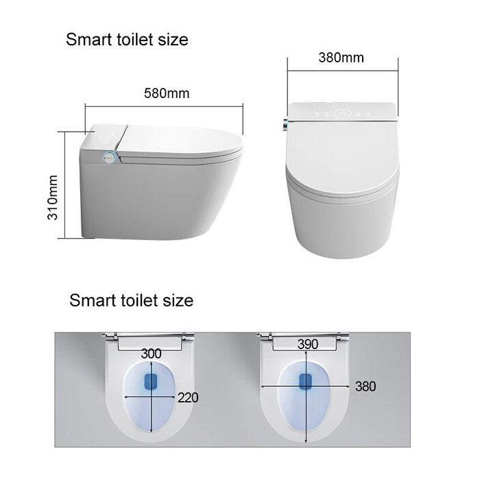 Hanging toilet with bidet function Rimless with seat and lid