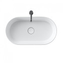 Устанавливаемая на столешницу раковина ALICE CERAMICA Lavabo Spy Oval 65x35 (Выбор различных цветов)
