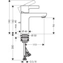 Käesegisti HANSGROHE Metris S, 31060000