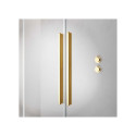 Двухсекционная раздвижная стенка для ванной RADAWAY Furo SL Gold PND II