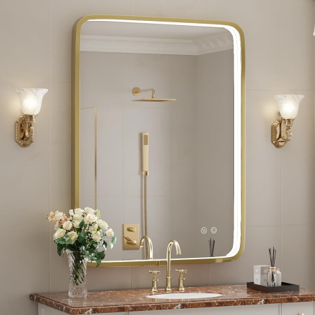 Mirror with LED lighting 60 x 80 cm with a brushed gold frame