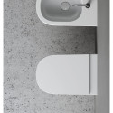 Riputatav WC NIC disain Pin Rimless pehme sulgemise kaanega, 001709