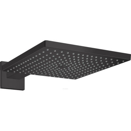 Dušipea HANSGROHE Raindance E 1jet, 26238670