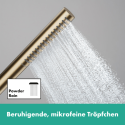 Ручной душ HANSGROHE Pulsify S 100, 1 струя EcoSmart+, 24126140