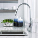 Kitchen (sink) faucet with pull-out spout HANSGROHE Focus, 31815000