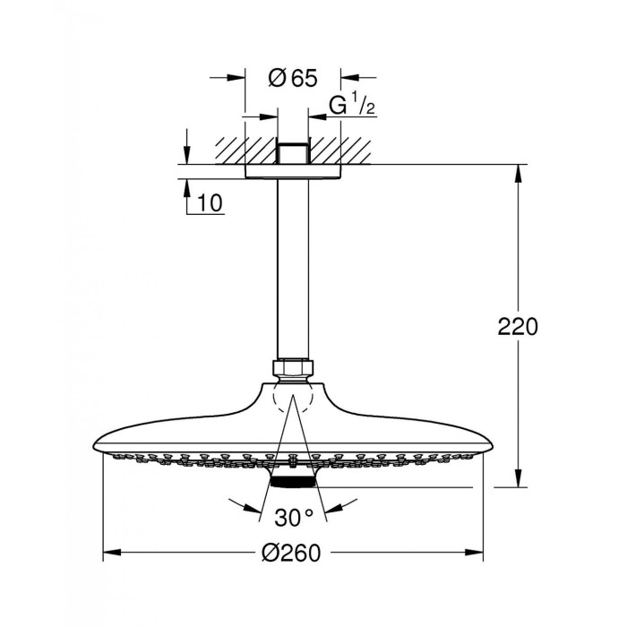 Kinnitatud dušipea koos laehoidikuga GROHE Euphoria 260 mm