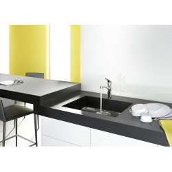 Kitchen (sink) faucet HANSGROHE Focus 160, 31806000