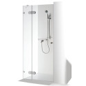 Shower doors with a wall nishom BALTIC BRANCH IEVA PLUS