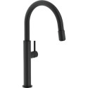 Kitchen (sink) faucet FRANKE PESCARA Up & Down, matte black