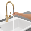 Sink mixer with pull-out spray VILLEROY&BOCH Umbrella Flex with gold feathers