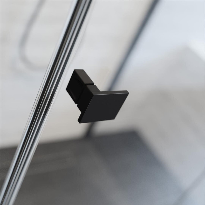 Двери душа Radaway Essenza New Black DWJS