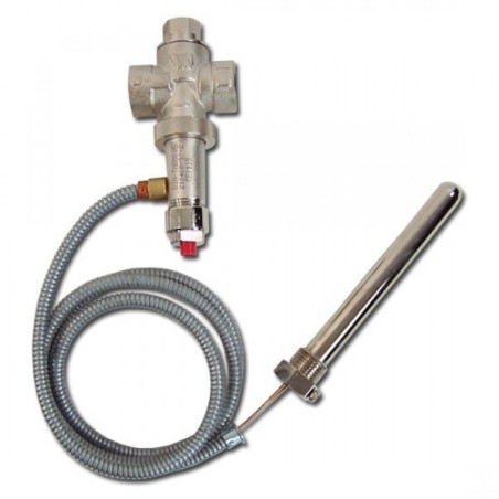 Emergency boiler vent valve WATTS 3/4''