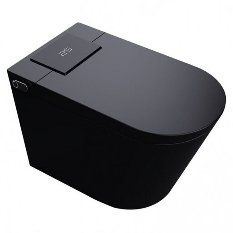 Smart toilets with bidet function